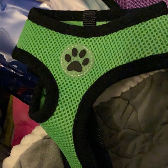 New Paw Harness 2 med blue/purple & small green - Picture 2 of 5